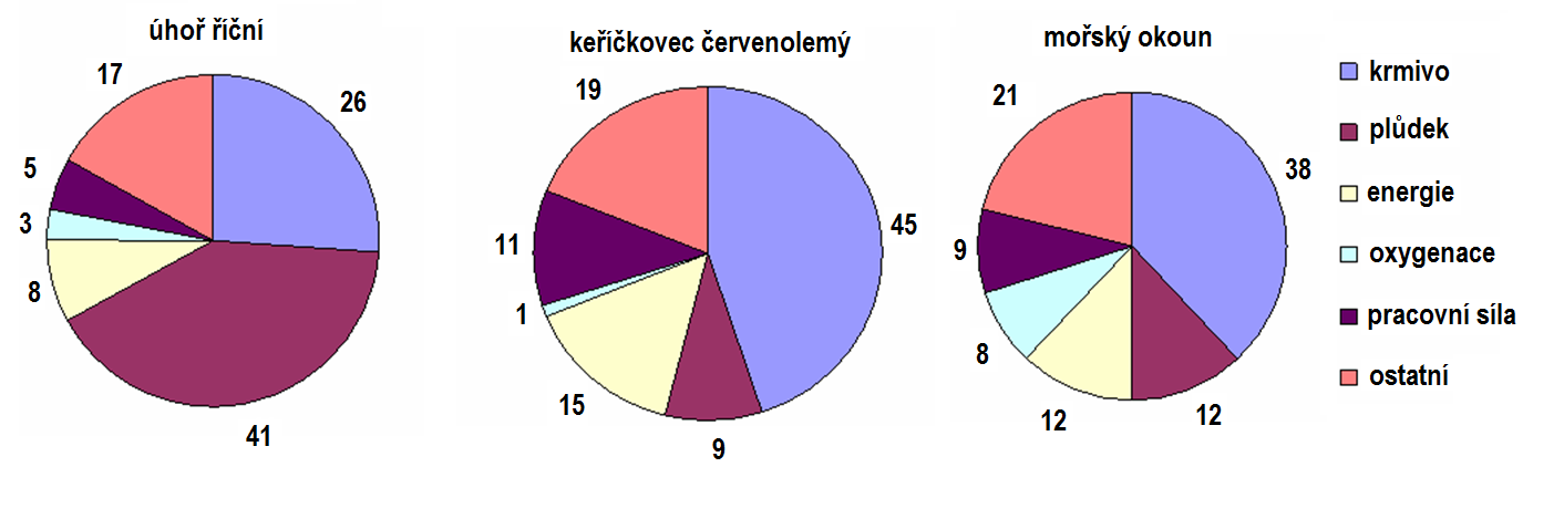 Rozložení