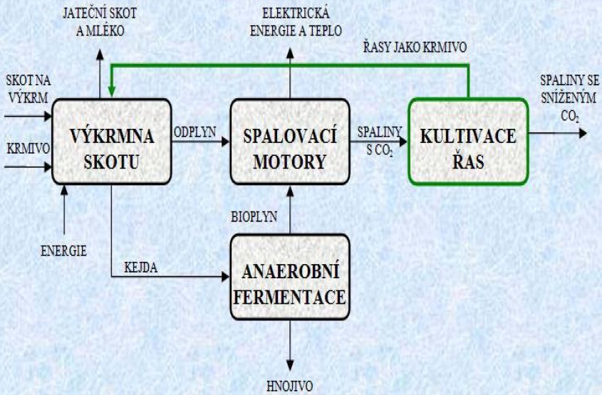 Možným uplatněním je tedy integrace pěstování řas a existující BPS, kde mohou být řasy kultivovány s využitím vypouštěného CO 2 ze spalin KGJ a digestátu jako výživového vstupu.