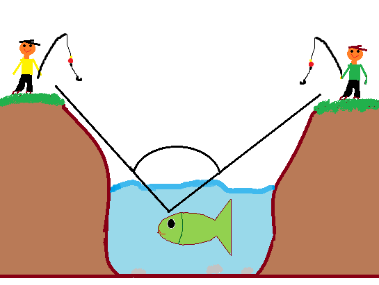 2. Tělo ryb můţeme rozdělit na tři základní části.