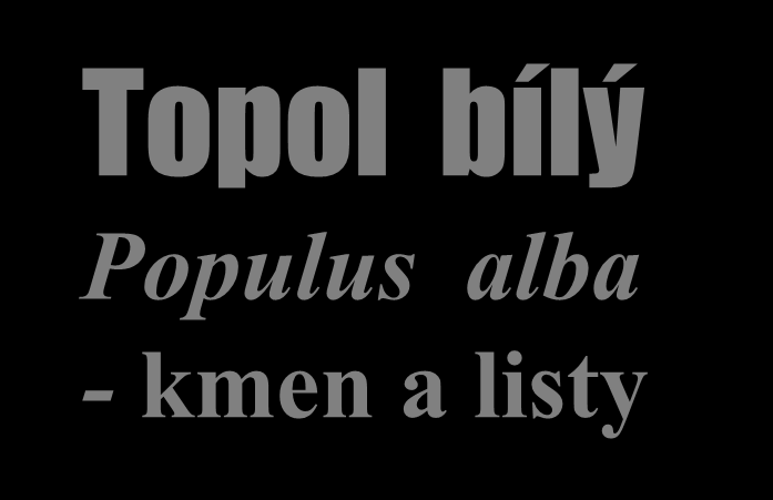 Topol