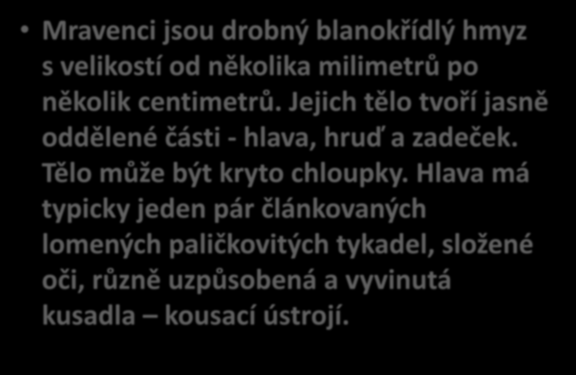 Mravenci jsou drobný blanokřídlý hmyz s velikostí od několika milimetrů po několik centimetrů. Jejich tělo tvoří jasně oddělené části - hlava, hruď a zadeček.