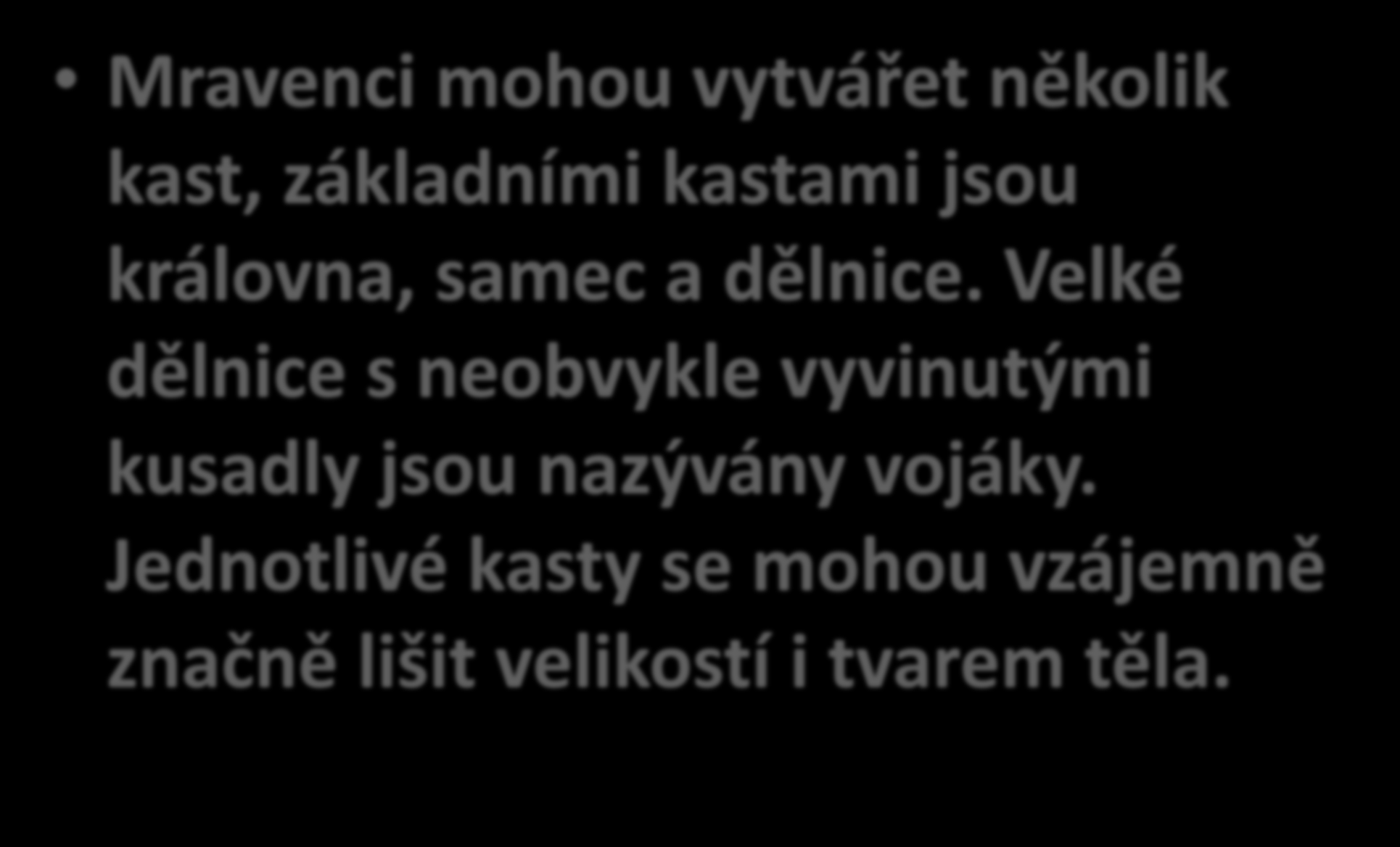 Mravenci mohou vytvářet několik kast, základními kastami jsou královna, samec a dělnice.