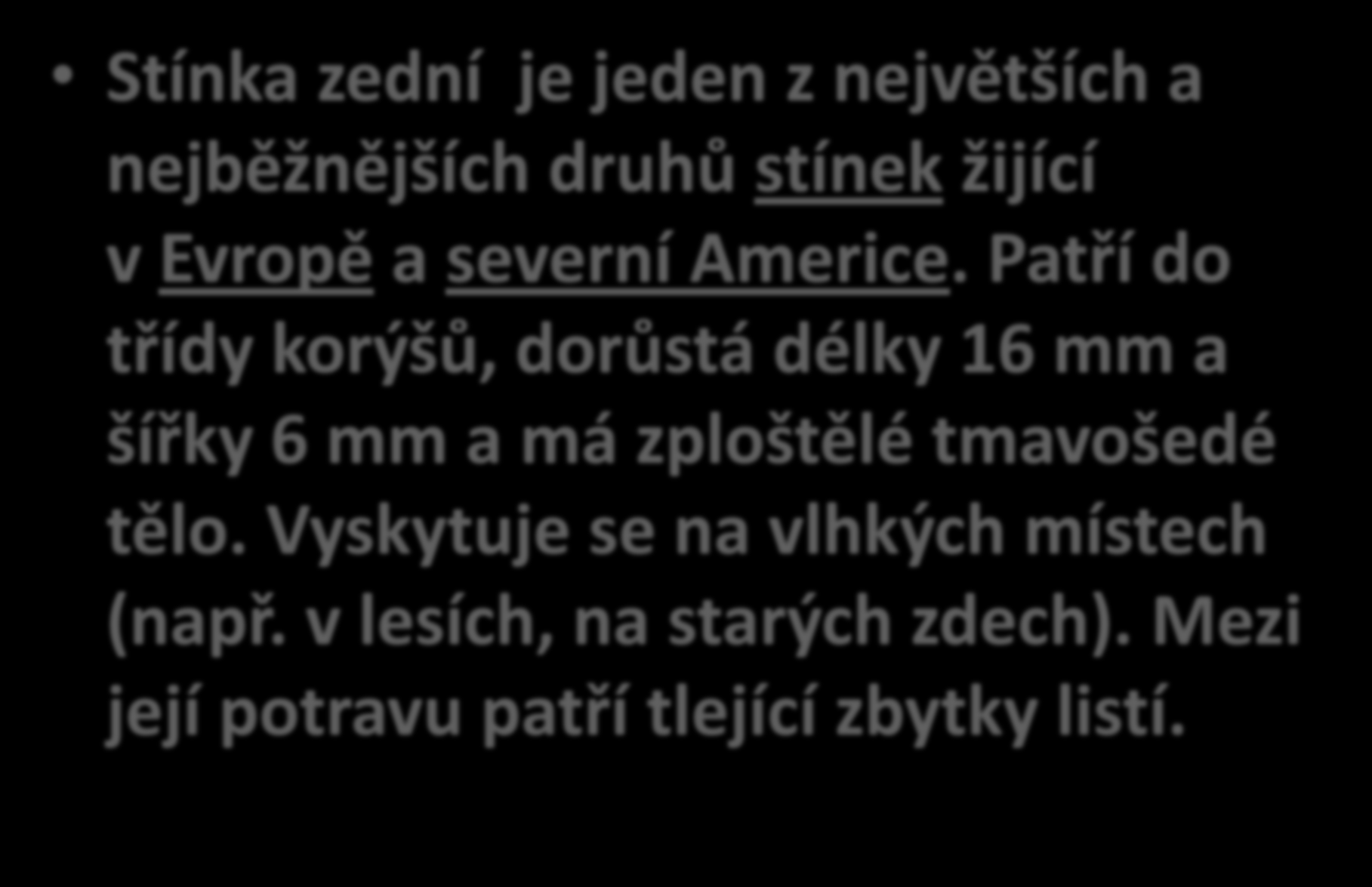 Stínka zední Stínka zední je jeden z největších a nejběžnějších druhů stínek žijící v Evropě a severní Americe.