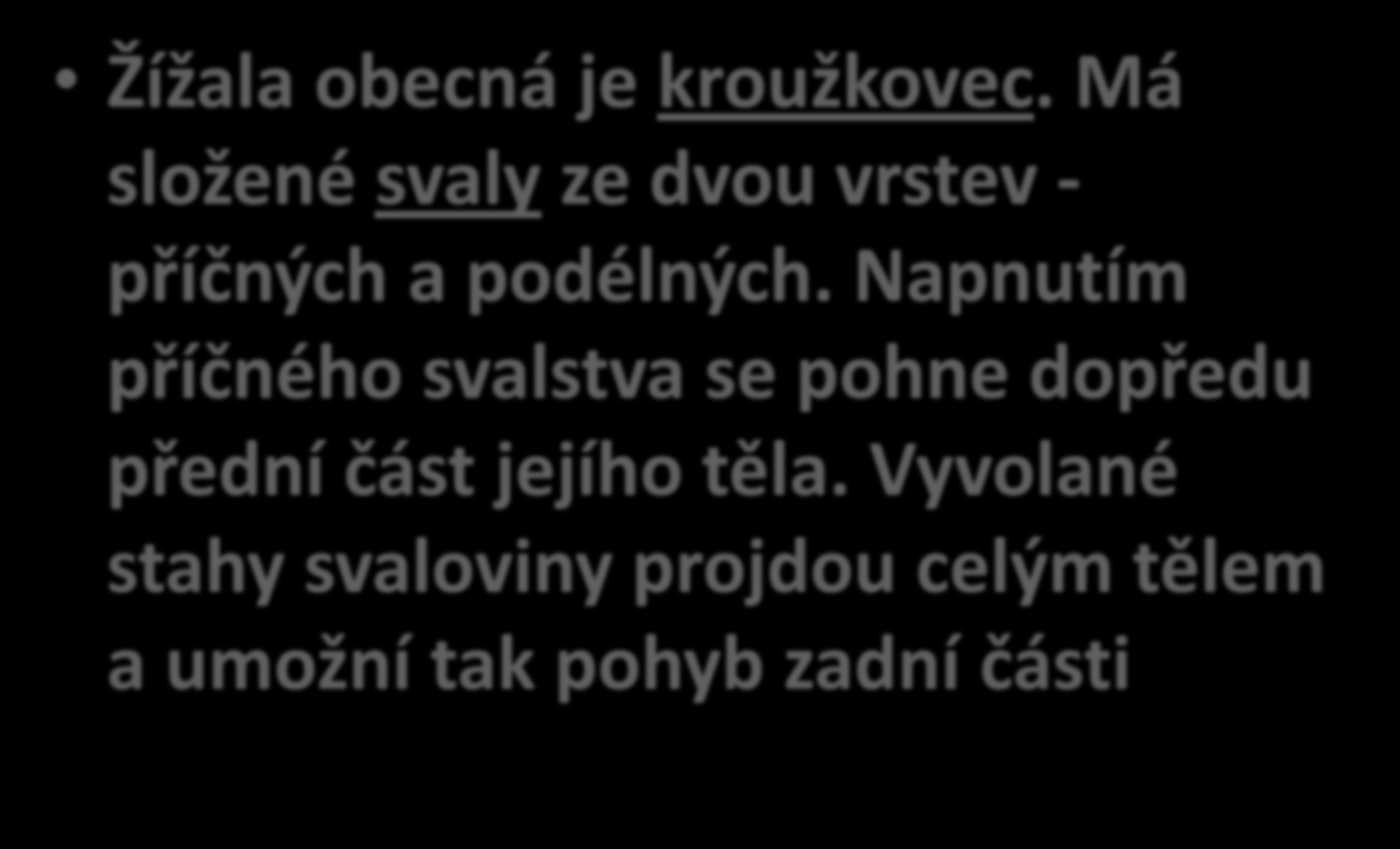 ŽÍŽALY Žížala obecná je kroužkovec. Má složené svaly ze dvou vrstev - příčných a podélných.