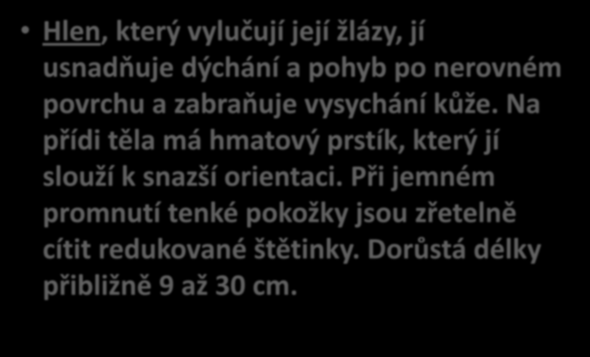 Hlen, který vylučují její žlázy, jí usnadňuje dýchání a pohyb po nerovném povrchu a zabraňuje vysychání kůže.