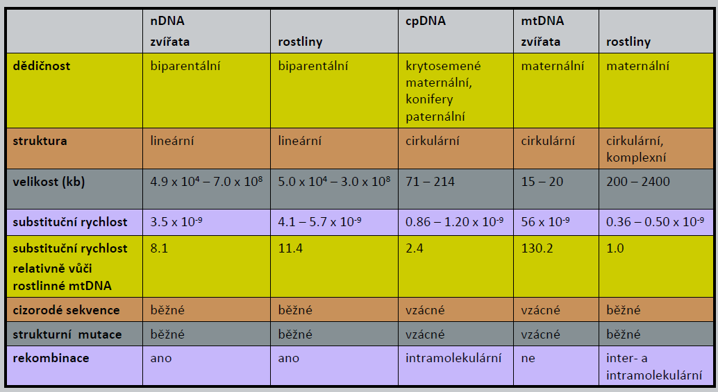 Chrkteristik