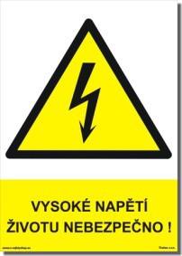 Elektrický proud při zasažení elektrickým proudem způsobena elektrickým výbojem, nebo působením elektrického proudu o napětí 60 V a vyšším místním účinkem je často