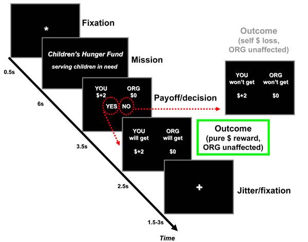 Neural basis of