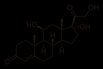 GLUKOKORTIKOIDY kortisol hypothalamus: