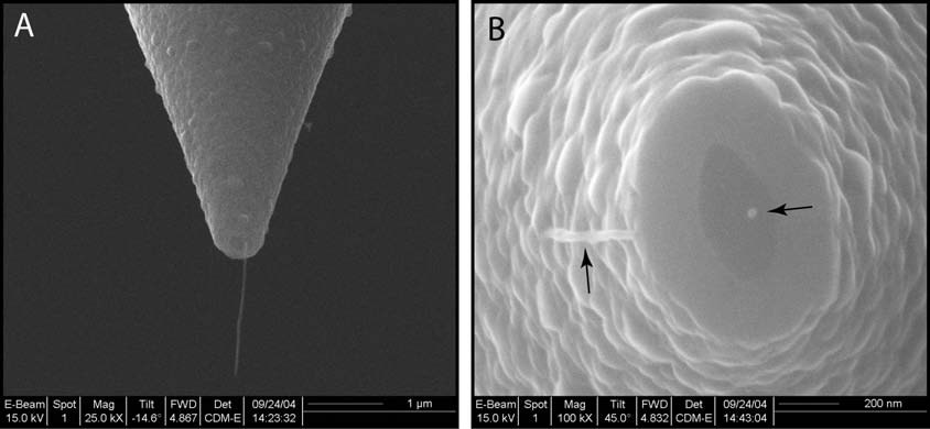 Raman - NSOM vzdálenost sondy do 10 nm apertura