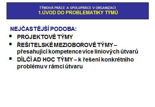 1.ÚVOD DO PROBLEMATIKY TÝMŮ Problém s definicí CO JE TO TÝM?