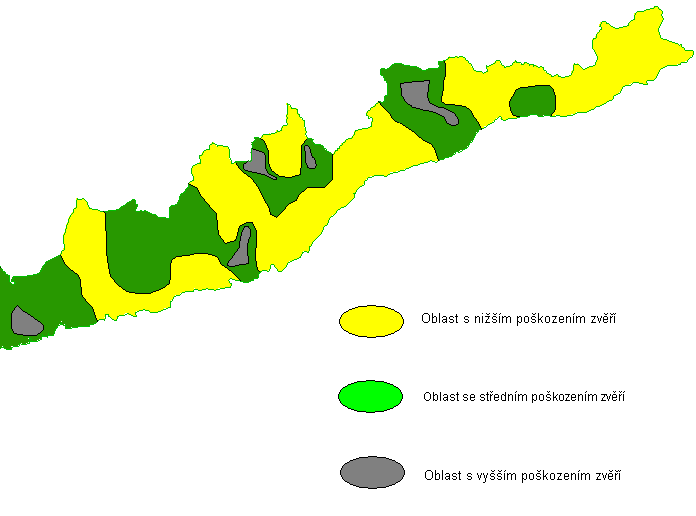 Obr. 4.1: Plošné vyjádření oblastí Krušných hor s různým stupněm poškození zvěří okusem (zdroj: ÚHUL Brandýs nad Labem) Obr. 4.2: Plošné vyjádření oblastí Krušných hor s různým stupněm poškození zvěří loupáním a ohryzem.