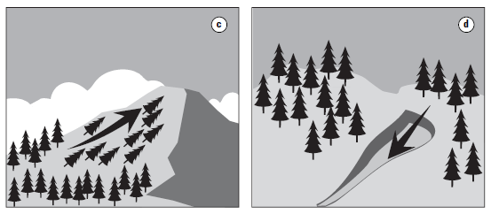 CHARAKTER TERÉNU (LANDFORM) c) charakter terénu ovlivňuje frekvenci a prostorovou distribuci přírodních disturbancí (oheň, vítr, spásání, ) d)