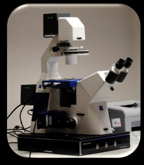 Oddělení přípravy a analýzy nanostruktur Optická mikroskopie Carl Zeiss Axio Imager M2M a Carl Zeiss Axio Observer A1 Carl Zeiss Axio Imager M2M Odražené světlo - BF, DF, C-DIC