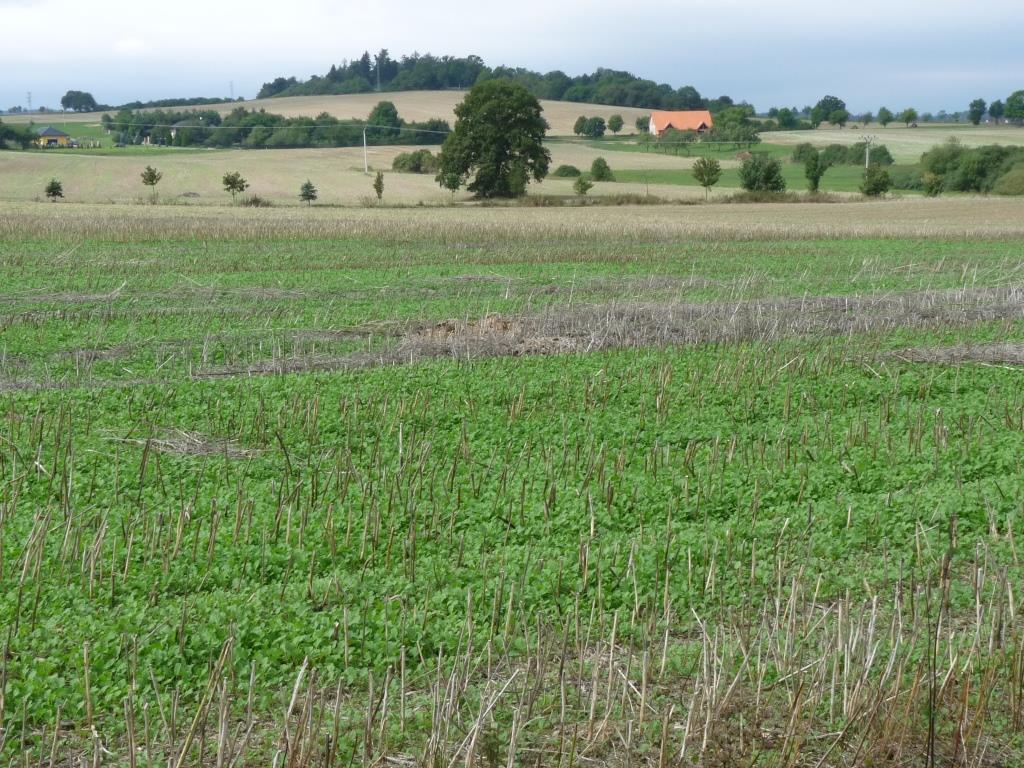 Hodnocení příčin účasti zemědělců v kontraktu Agroenvironmentální politiky na příkladu titulů zatravňování orné půdy a