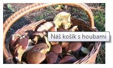 Příklad <img src= "kosik-s-houbami.