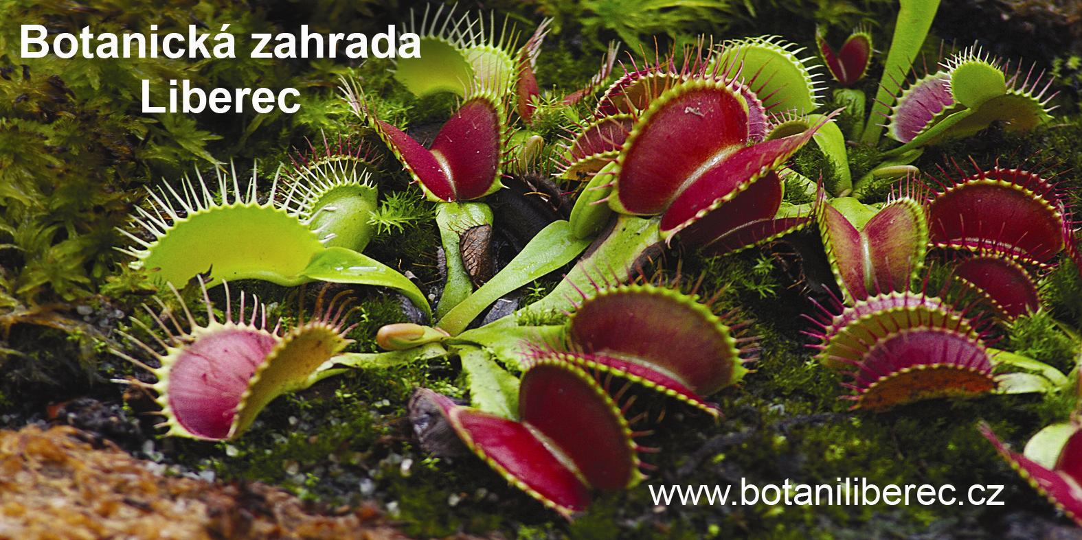 Botanická zahrada Liberec, příspěvková organizace (IČ 00079677), Purkyňova 630/1, 460 01 Liberec Tel.