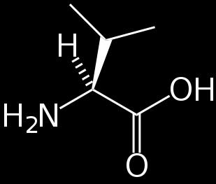 DEKARBOXYLACE Eliminace CO 2 Produkty: aminy - senzoricky aktivní látky, např.
