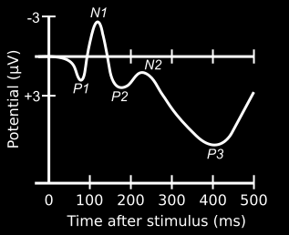 Metody ERP Vlna N1 Primární sluchový kortex Nemá kognitivní korelát Vlna P3 Sumace