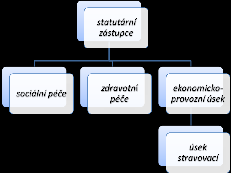 ORGANIZAČNÍ SCHÉMA PERSONÁLNÍ ZAJIŠTĚNÍ 1) Statutární zástupce: ředitel 1 2) Zdravotní péče: vedoucí zdravotní péče 1 všeobecná sestra 7 3) Sociální péče: vedoucí sociální péče 1 sociální pracovníci