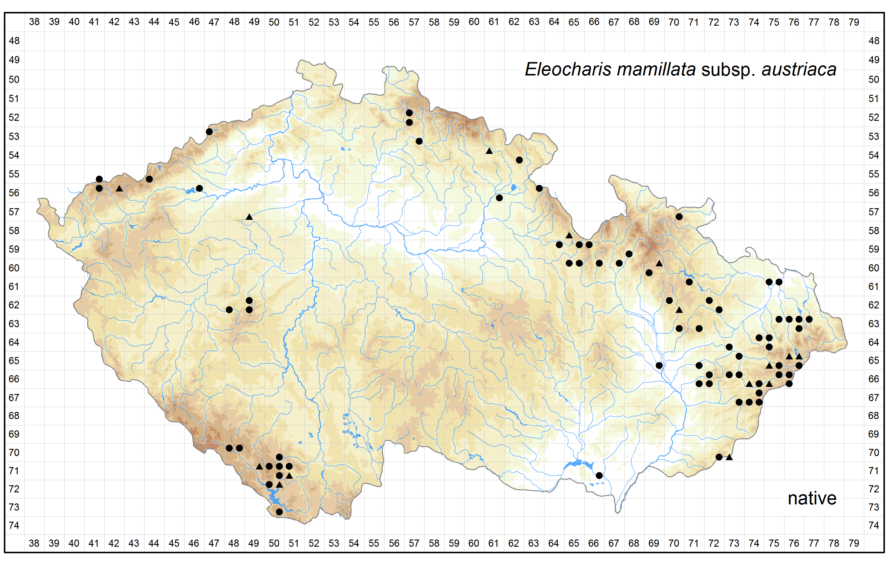 Distribution of Eleocharis mamillata subsp.