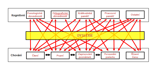 Modely hodnocení (2) Při mozkové činnosti není na splnění jednoho úkolu určen jeden neuron nebo jejich řada. Ke splnění jednoho úkolu je třeba milionu neuronů.