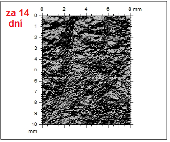 UTB ve Zlíně, Fakulta technologická 90 Obr. 58: DS_66, fotosimulace 3D před, po a za 14 dní Na obrázku č.