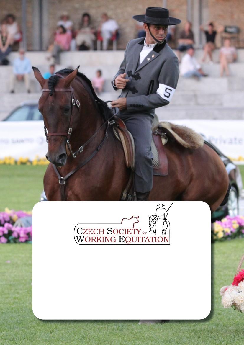 NÁRODNÍ PRAVIDLA WORKING EQUITATION