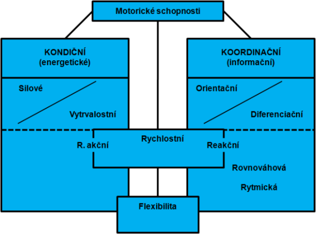 nebo částmi těla v dostatečně velkém rozsahu, dle účelu lehce a požadovanou rychlostí. Jedná se o rozsah a kapacitu kloubu, která umožňuje plynulý pohyb v plném, tedy optimálním rozsahu.