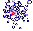 HPMA polymer Polymer drugs based on HPMA Tumor cells sensitive or resistant to the treatment with polymeric drugs drug (doxorubicin) bound through spacer