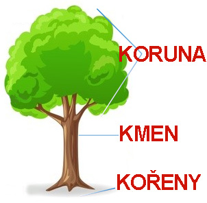 Stonek je nadzemní bylinná část rostliny, která má různou délku i tloušťku. Na stoncích jsou upevněny listy a také květy. Stonek, který roste pod zemí, se nazývá oddenek.