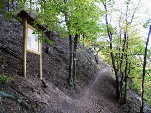 turistiku Na základě závěrů analytické části územní studie, která identifikuje potencionální možnosti rozvoje infrastruktury pro vodní turistiku, a po posouzení stávající kapacity infrastruktury pro