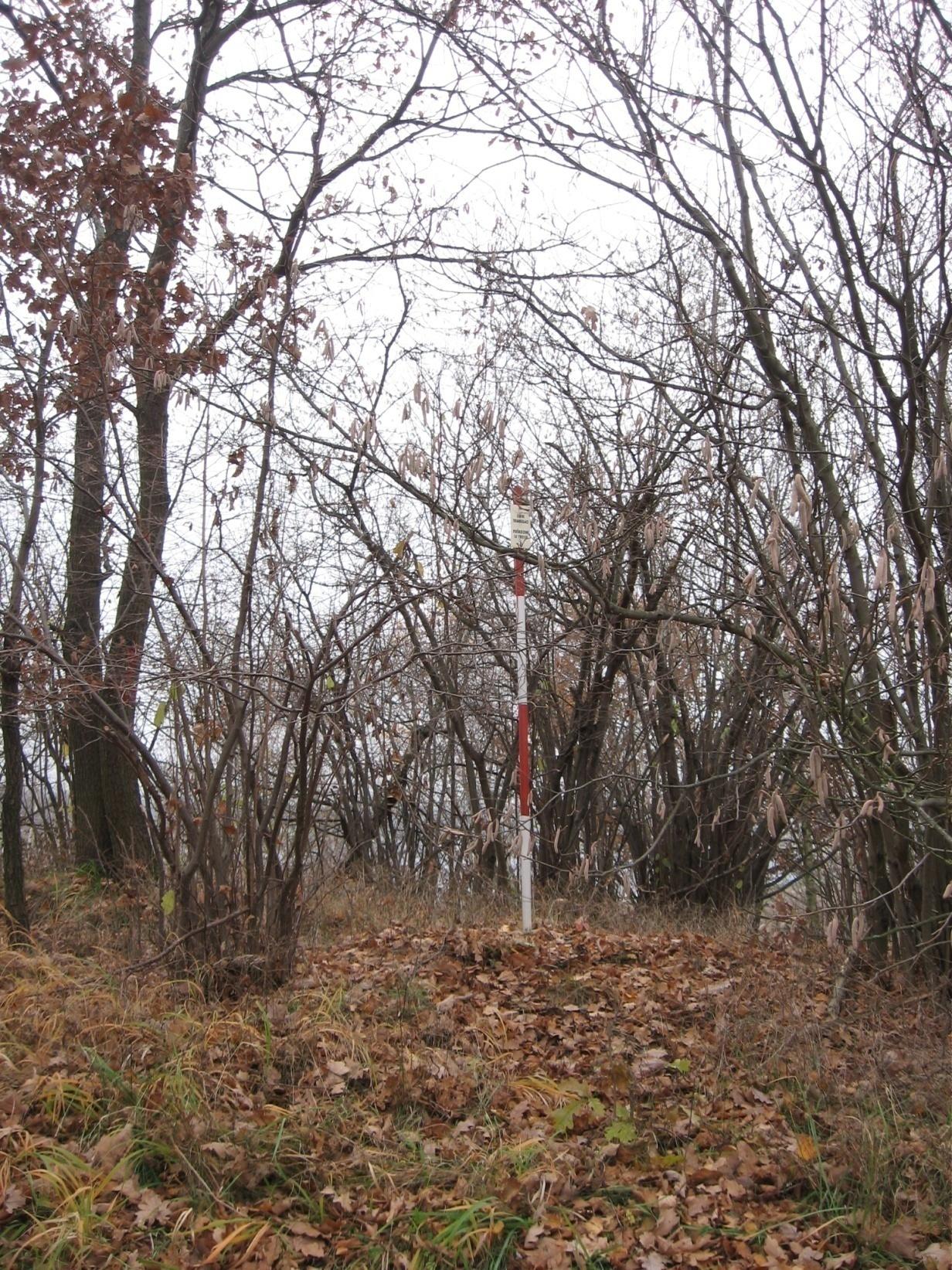 Červený vrch Bod ČSTS č. 7 ( TL 4002 ) Asi 1,5 km východně od areálu VŠTE, jižně od nové komunikace 1. třídy č. 34 Č. Budějovice J. Hradec.