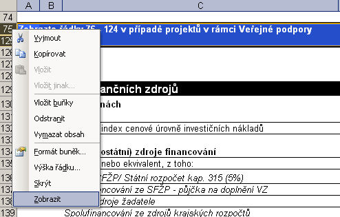 Následně může Zpracovatel vyplnit data na celém listu Info více viz Kapitola 4.1. Poté musí Zpracovatel vyplnit data na listu Náklady a příjmy, více viz Kapitola 4.