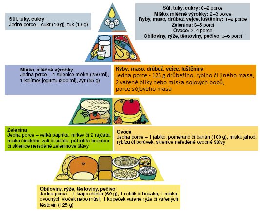 PŘÍLOHY Příloha č. 1 Potravinová pyramida Zdroj: FOODNET [online] [cit.