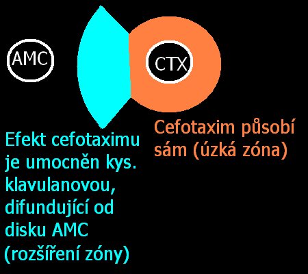 Test synergismu Na obrázku je pozitivní výsledek zóna je