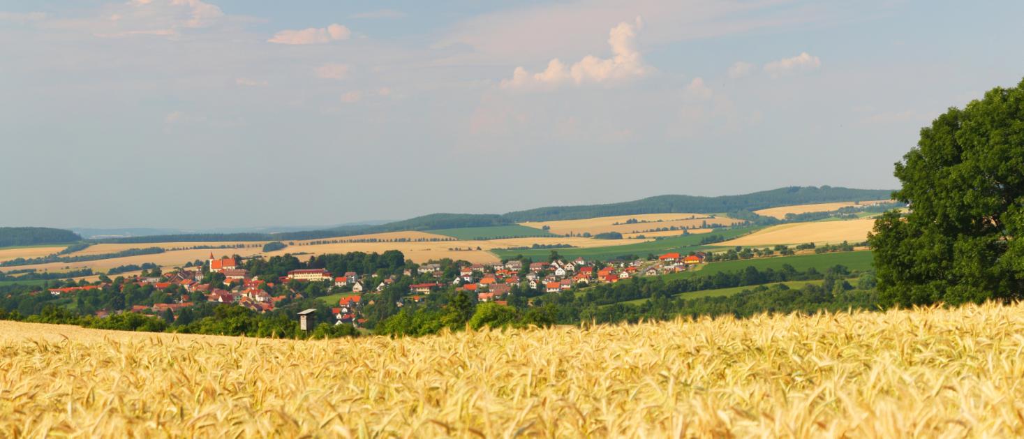 NAČERADSKÉ NOVINY Ročník: 55 číslo: 7 Informační zpravodaj Úřadu městyse Načeradec ČERVENEC 2013 Z JEDNÁNÍ RADY MĚSTYSE V ČERVNU 2013 Mimo jiné rada projednala: Rada městyse vzala na vědomí informaci