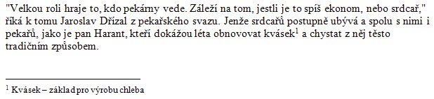 L 11 Vkládání prvků Poznámky pod čarou a vysvětlivky Vlastní vložení poznámky Formátování