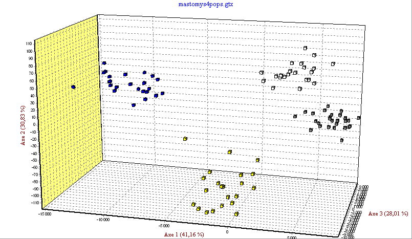 D e dal C M. natalensis M. coucha M. pernanus Obrázek 2.