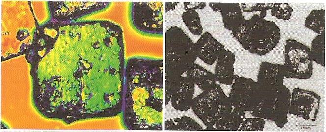 2.4.2 Chlorid draselný Chemický vzorec: KCl Chlorid draselný má podobu bílého krystalického prášku, taktéž dobře rozpustitelný ve vodě.