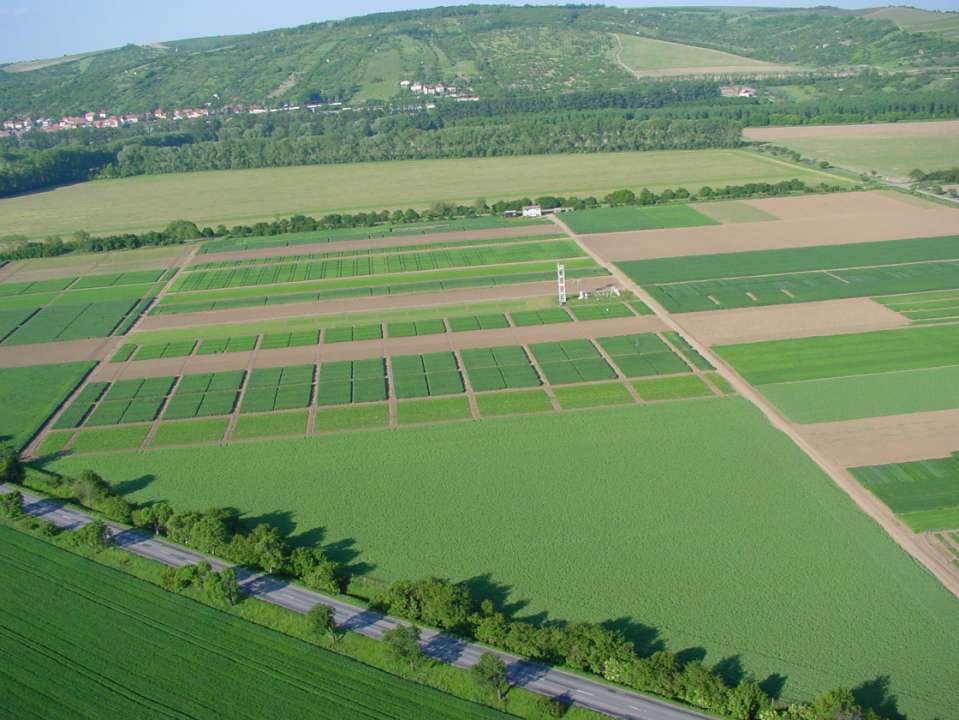 Okolnosti zaplevelení polí jednodušší osevní postupy vyšší zastoupení