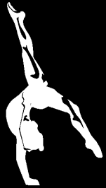 Gymnastika Trampolíny a můstky Trampolína s nastavitelnou výškou rozměr 100 x 100 cm, včetně krytu, pruţné lano.