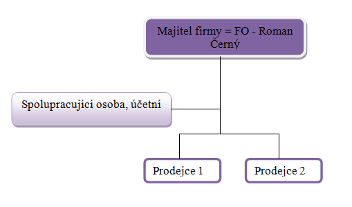 Obr. 14: Organizační struktura (vlastní zpracování dle: 16) 2.1.3 Cíle a poslání společnosti Hlavním cílem je tvorba zisku, budování dobrého jména a především spokojenost a věrnost zákazníka.