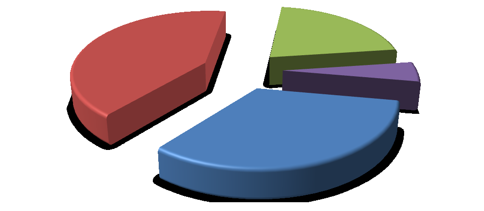 Váš věk? Počet Počet (%) do 30 let 8 33,00 30 40 let 10 41,00 40 50 let 5 21,00 50 let a více 2 5,00 Celkem 25 100,00 Zdroj: vlastní zpracování Graf č. 10: Váš věk?