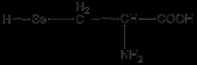 Je zvláštní neesenciální proteinogenní aminokyselina podobná cysteinu, místo atomu síry atom selenu.