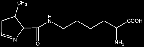 Speciální aminokyseliny Pyrolyzin "22.