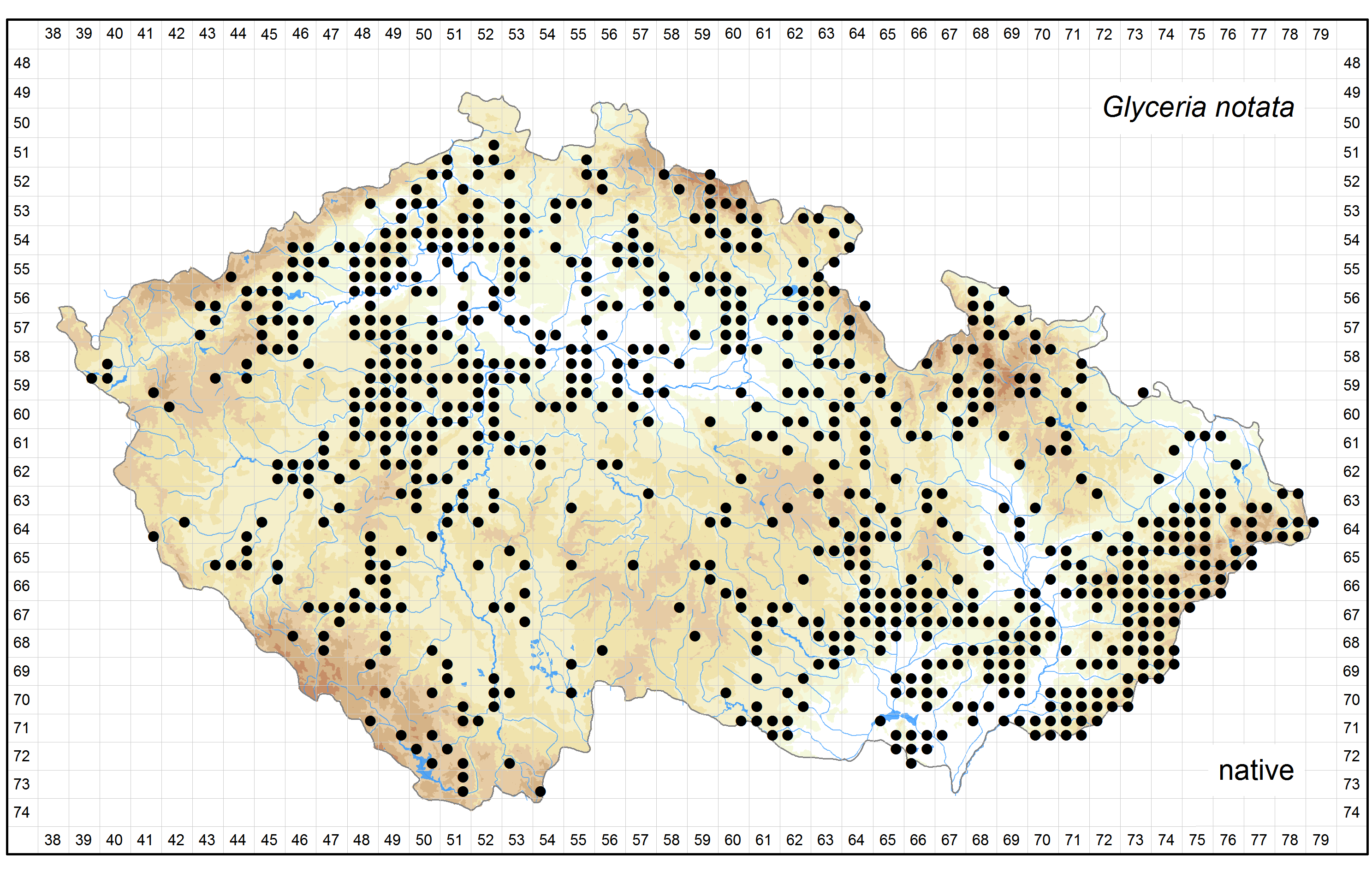 Distribution of Glyceria notata in the Czech Republic Author of the map: Martin Dančák, Bohumil Trávníček Map produced on: 18-11-2015 Database records used for producing the distribution map of