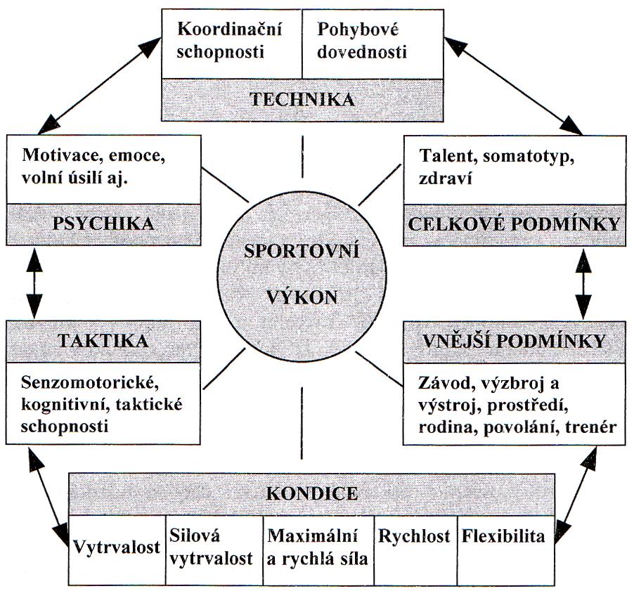 úkolů, které jsou vymezeny pravidly jednotlivých disciplín, závodů, soutěží a utkání (Lehnert, Novosad & Neuls, 2001). Obrázek 1.