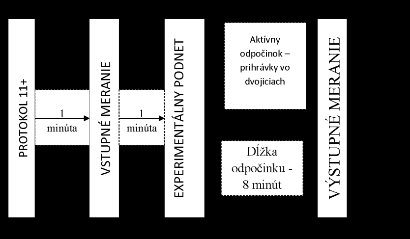 realizáciou tréningovej jednotky každá skupina absolvovala špeciálne rozcvičenie Protocol 11+ úroveň 2.