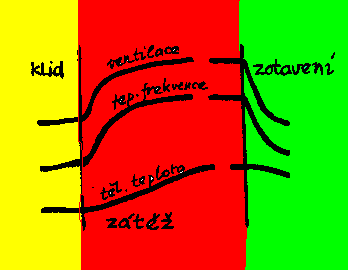 Tělesná zátěţ (průběh): klid (předstartovní stav) - zátěž (trénink / závod) - zotavení Zátěţ vyvolá okamžité